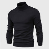 LENO - TURTLENECK WASHABLE SWEATER