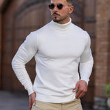 LENO - TURTLENECK WASHABLE SWEATER