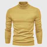 LENO - TURTLENECK WASHABLE SWEATER